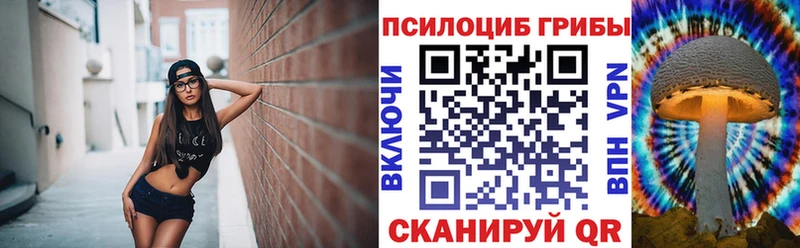 Галлюциногенные грибы Cubensis  МЕГА зеркало  Краснотурьинск  где купить наркоту 